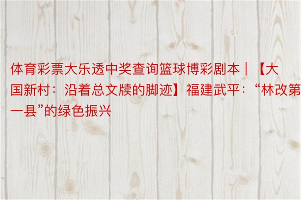 体育彩票大乐透中奖查询篮球博彩剧本 | 【大国新村：沿着总文牍的脚迹】福建武平：“林改第一县”的绿色振兴