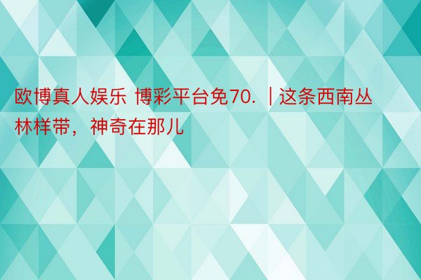 欧博真人娱乐 博彩平台免70.  | 这条西南丛林样带，神奇在那儿