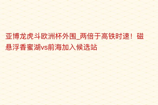 亚博龙虎斗欧洲杯外围_两倍于高铁时速！磁悬浮香蜜湖vs前海加入候选站