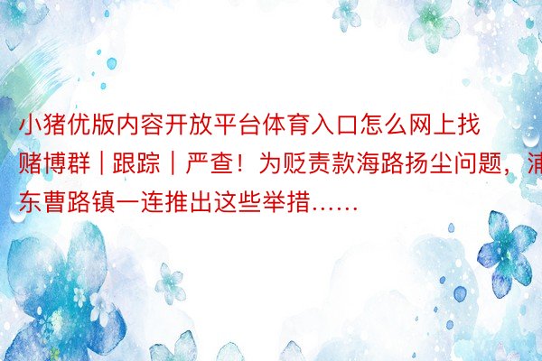 小猪优版内容开放平台体育入口怎么网上找赌博群 | 跟踪｜严查！为贬责款海路扬尘问题，浦东曹路镇一连推出这些举措……