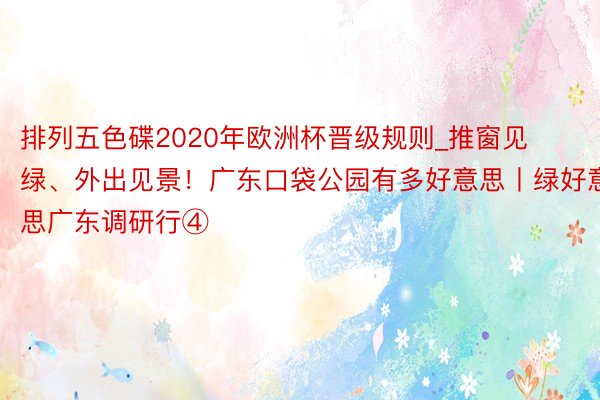 排列五色碟2020年欧洲杯晋级规则_推窗见绿、外出见景！广东口袋公园有多好意思丨绿好意思广东调研行④