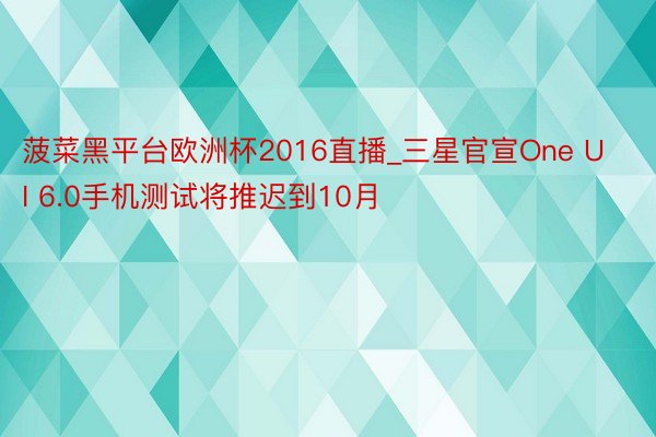 菠菜黑平台欧洲杯2016直播_三星官宣One UI 6.0手机测试将推迟到10月